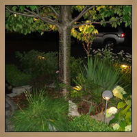 Landscaping With Light Night Image