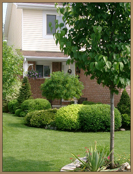 Custom Landscaping After Photo