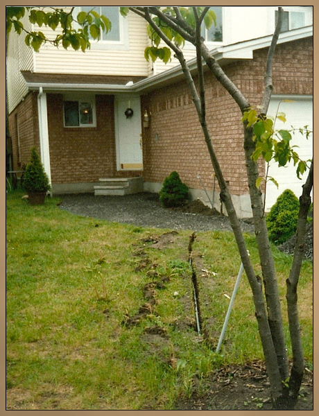 Custom Landscaping Before Photo