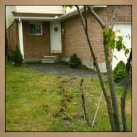Landscaping Before Thumbnail