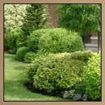 Landscaping Thumbnail Image