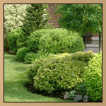 Landscaping Thumbnail Image