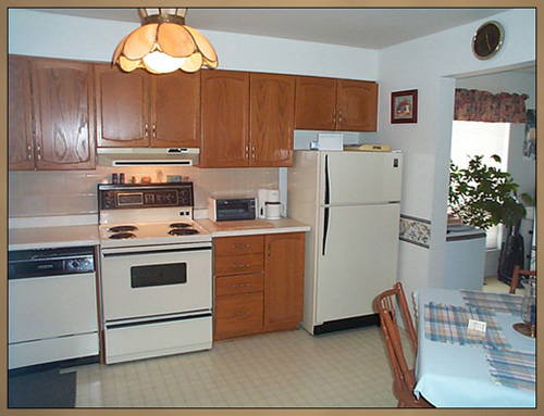 Before Kitchen Cabinet Refacing 2